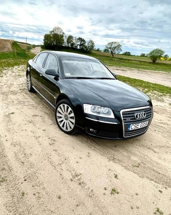 Audi A8 cena 37000 przebieg: 170781, rok produkcji 2004 z Bydgoszcz małe 562